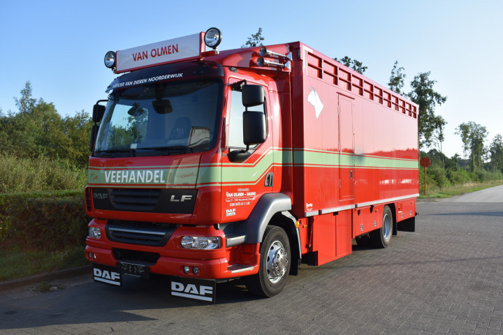 Veelaadkast Levend Vee Transport Carrosseriebouw Van Olmen Noorderwijk Daf Kalverhandel Veehandel (1)
