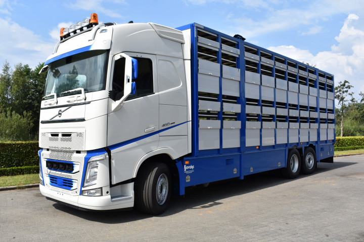 Veelaadkast Overbouwen Levend Vee Transport Livestock Volvo Delanghe Bekegem Brugge Schilderen Cabine (1)