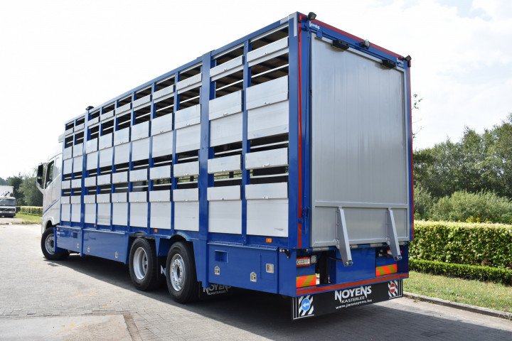 Veelaadkast Overbouwen Levend Vee Transport Livestock Volvo Delanghe Bekegem Brugge Schilderen Cabine (2)