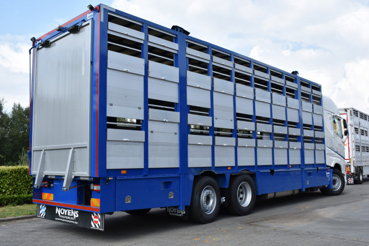Veelaadkast Overbouwen Levend Vee Transport Livestock Volvo Delanghe Bekegem Brugge Schilderen Cabine (5)
