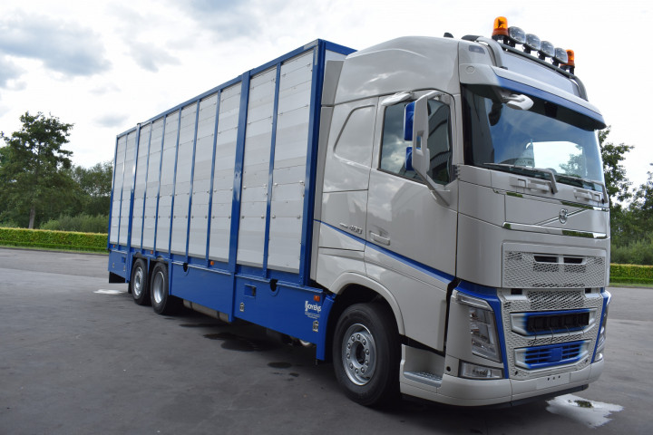 Veelaadkast Overbouwen Levend Vee Transport Livestock Volvo Delanghe Bekegem Brugge Schilderen Cabine (6)