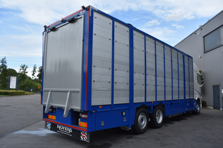 Veelaadkast Overbouwen Levend Vee Transport Livestock Volvo Delanghe Bekegem Brugge Schilderen Cabine (7)
