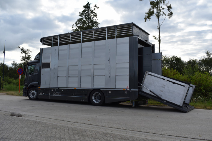 Veetransport Irma Buijtels Kalverhandel Lommel Mercedes Levend Vee (1)