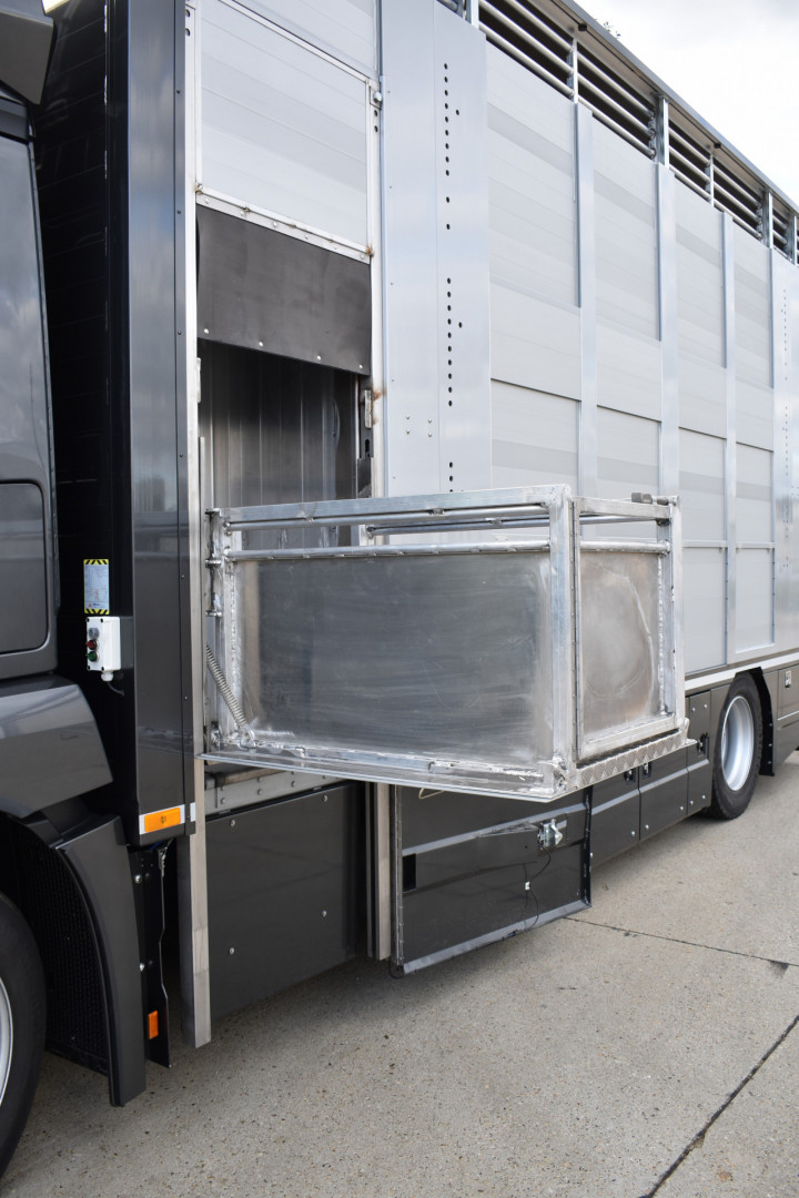 Veetransport Irma Buijtels Kalverhandel Lommel Mercedes Levend Vee (10)