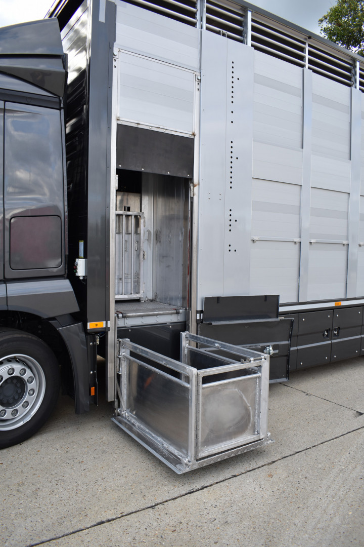 Veetransport Irma Buijtels Kalverhandel Lommel Mercedes Levend Vee (11)