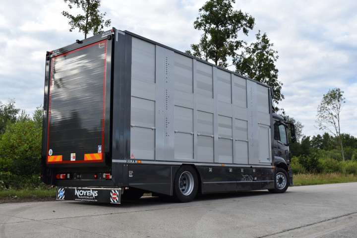 Veetransport Irma Buijtels Kalverhandel Lommel Mercedes Levend Vee (3)