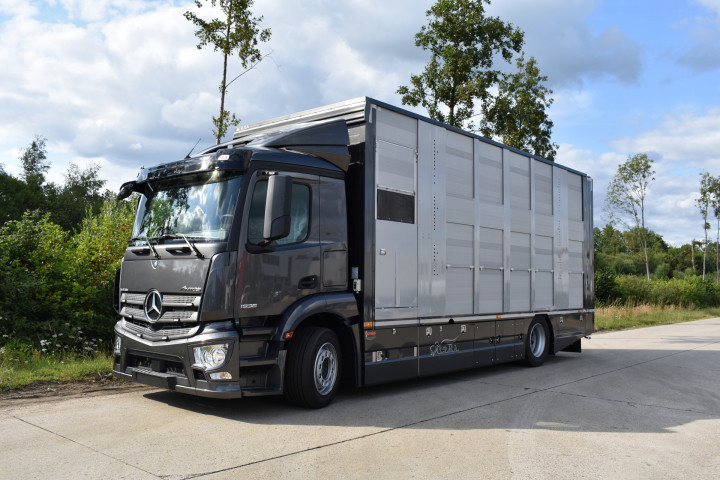 Veetransport Irma Buijtels Kalverhandel Lommel Mercedes Levend Vee (5)