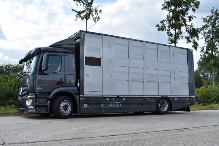 Veetransport Irma Buijtels Kalverhandel Lommel Mercedes Levend Vee (6)