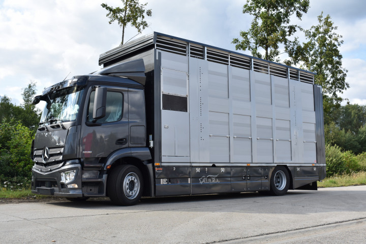 Veetransport Irma Buijtels Kalverhandel Lommel Mercedes Levend Vee (8)