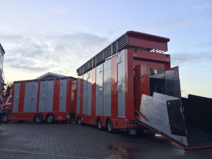 Veetransport Irma Levend Vee Transport Poll Gebroeders (14) 2