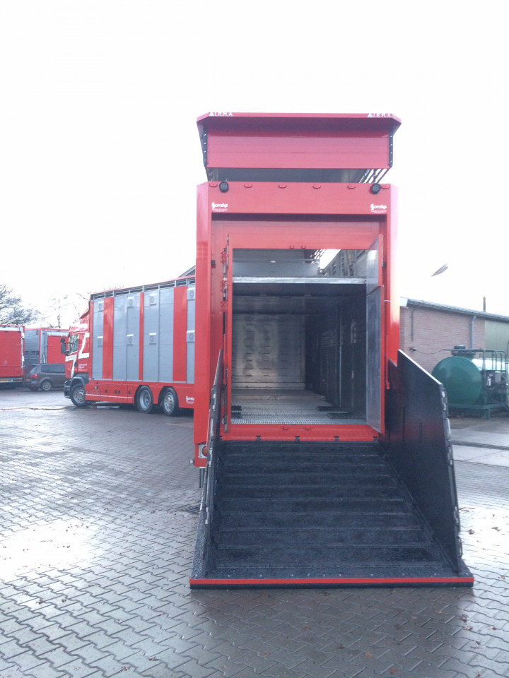 Veetransport Irma Levend Vee Transport Poll Gebroeders (15)