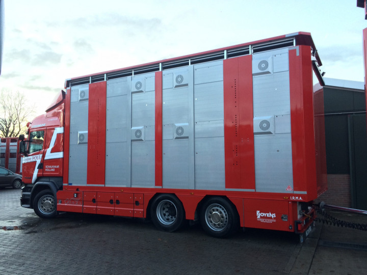 Veetransport Irma Levend Vee Transport Poll Gebroeders (16)