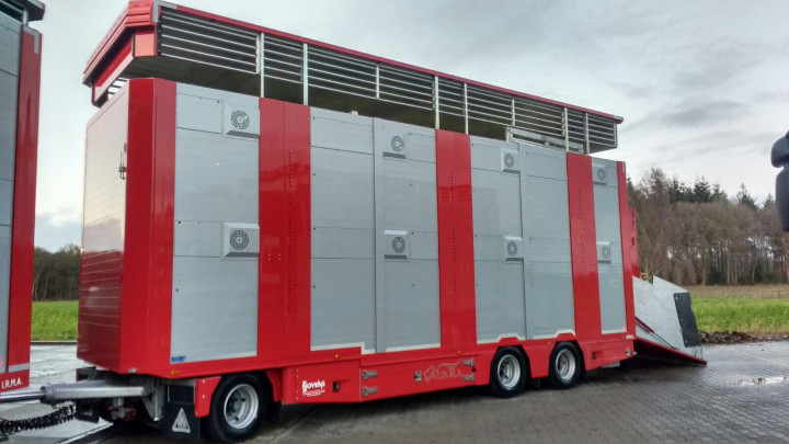 Veetransport Irma Levend Vee Transport Poll Gebroeders (17)