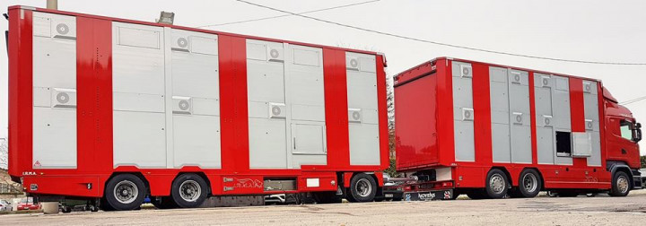 Veetransport Irma Levend Vee Transport Poll Gebroeders (4)