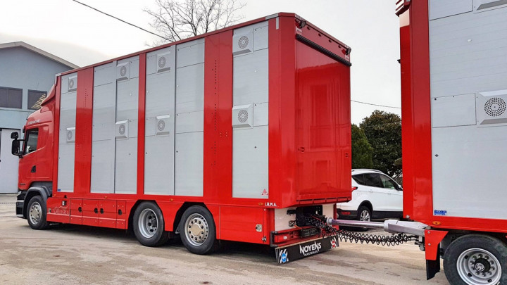 Veetransport Irma Levend Vee Transport Poll Gebroeders (5)