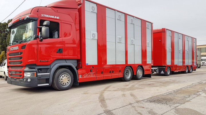 Veetransport Irma Levend Vee Transport Poll Gebroeders (7)