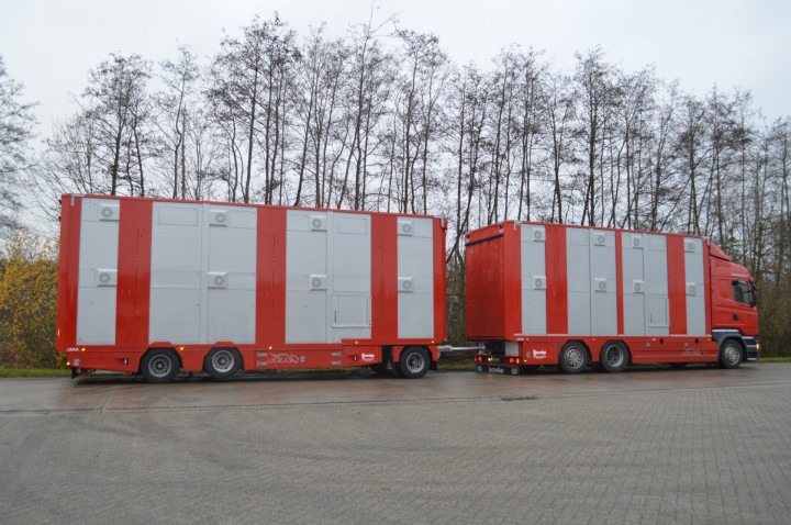 Veetransport Irma Levend Vee Transport Poll Gebroeders (8)