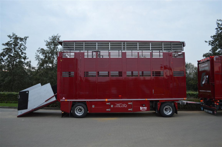 Veetransport Levend Vee Irma Aanhangwagen Livestock (5)