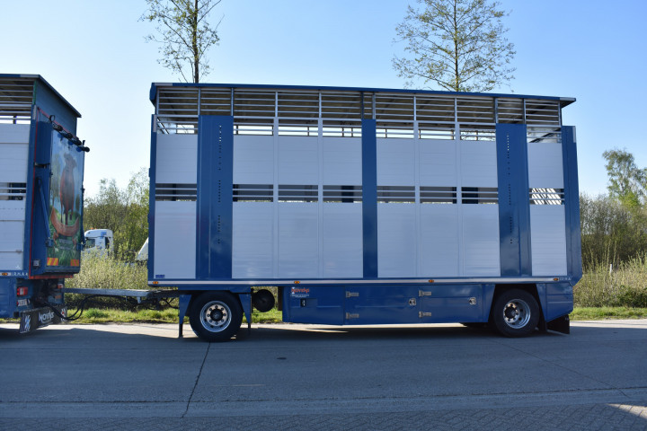Veetransport Levende Dieren Transport Irma Trasport De Betail Betailliere Euro Bel Beef Wadelincourt (29)
