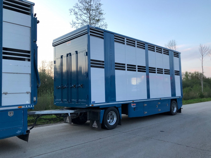 Veetransport Levende Dieren Transport Irma Trasport De Betail Betailliere Euro Bel Beef Wadelincourt (4)
