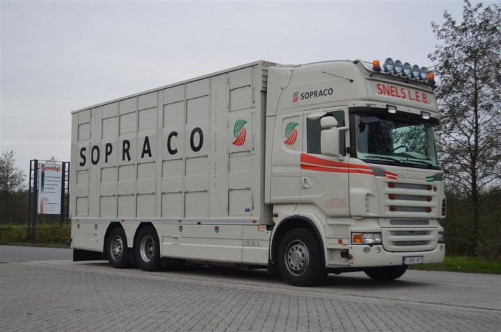 Veetransport Transport Levend Vee Irma (2)