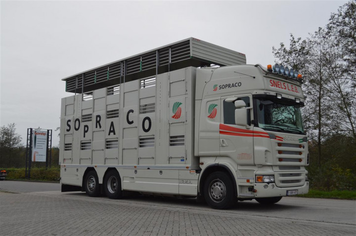 Veetransport Transport Levend Vee Irma (5)
