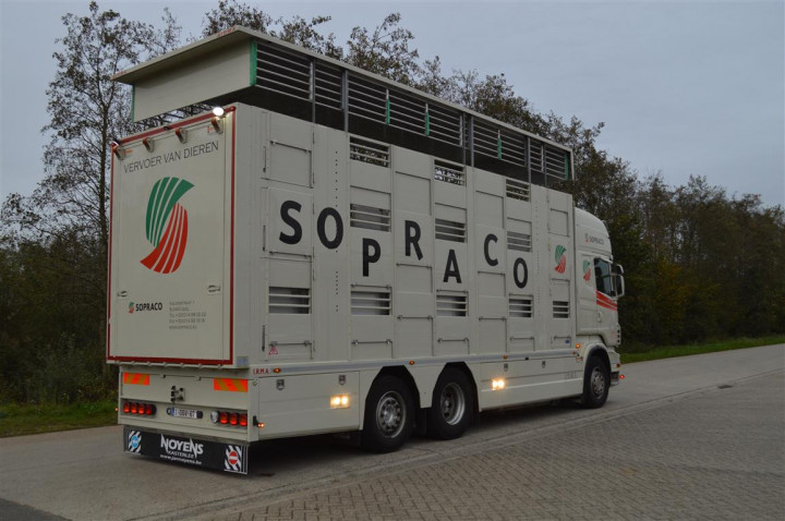 Veetransport Transport Levend Vee Irma (6)