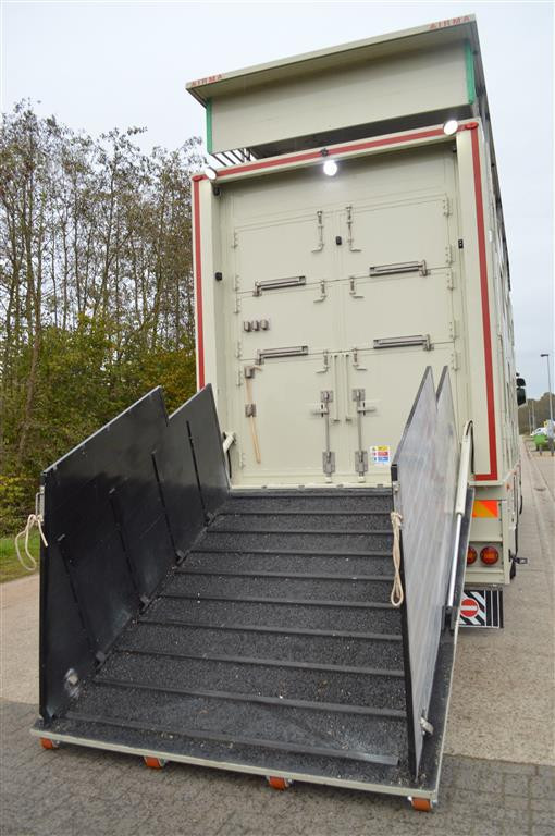 Veetransport Transport Levend Vee Irma (7)